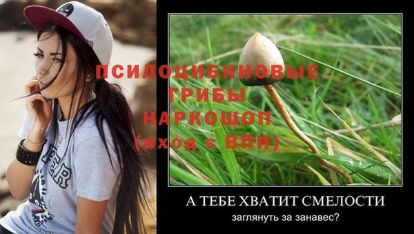 jwh Майский