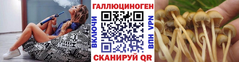 Галлюциногенные грибы Cubensis  дарнет шоп  Белёв 